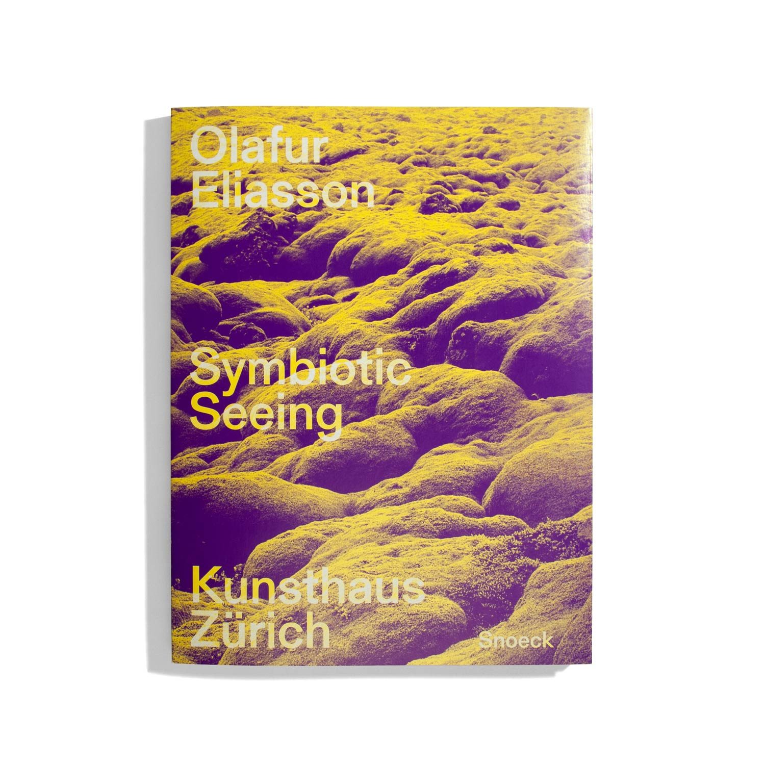 Symbiotic Seeing - Olafur Eliasson