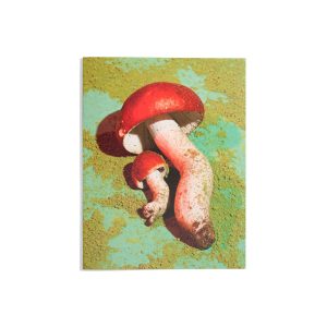 Mushrooms and Friends Zine #1
