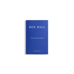 Box Hill - Adam Mars-Jones