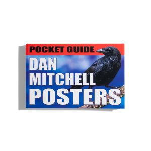 Pocket Guide - Dan Mitchell Posters