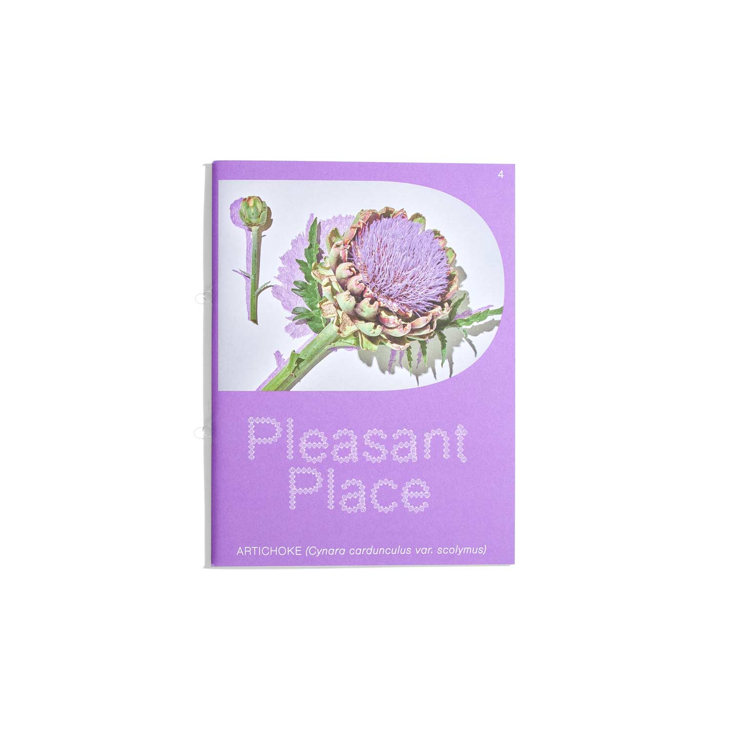 Pleasant Place - Artichoke - Issue #4